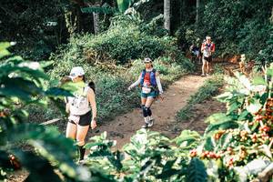 BIB: 
                            <button type="button" onclick="openModal(25849641)" class="btn btn-primary btn-sm float-right btn-popup" data-toggle="modal" data-target=".modal-high-quality">
                        <i class="fas fa-shopping-cart"></i> Add to Cart
                    </button>
                                            <button type="button" onclick="isThisMe(25849641, true)" class="btn btn-success btn-sm float-right btn-popup btn-isme hidden" data-toggle="tooltip" data-placement="bottom" title="นี่คือรูปของคุณใช่ไหม คลิกที่นี่เพื่อเอาเข้าอัลบั้ม">
                        <i class="fas fa-plus"></i> Add to album
                    </button>
                    <button type="button" onclick="isThisMe(25849641, false)" class="btn btn-warning btn-sm float-right btn-popup btn-isnotme hidden">
                        <i class="fas fa-ban"></i> Remove from album
                    </button>